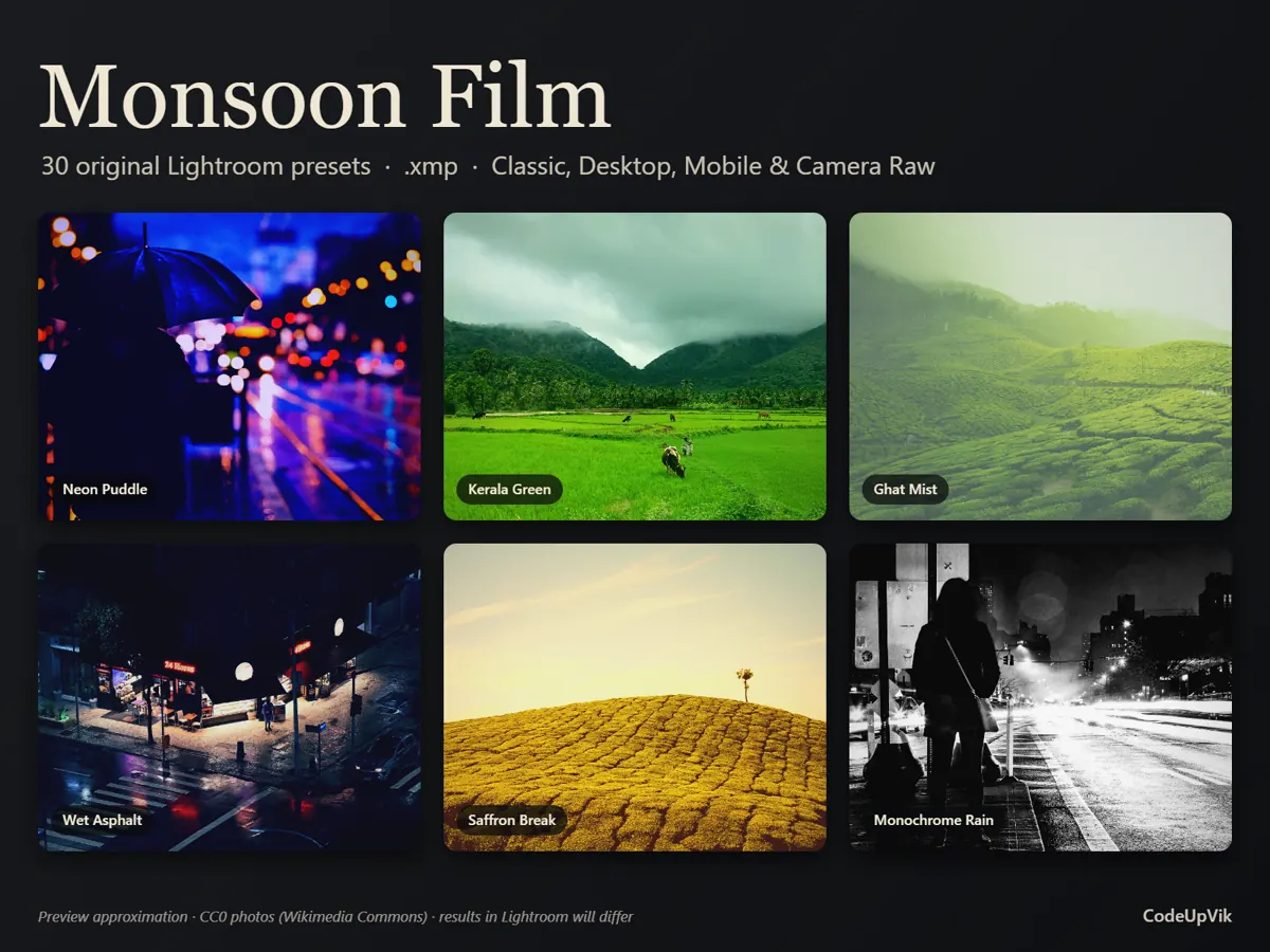 Monsoon Film cover